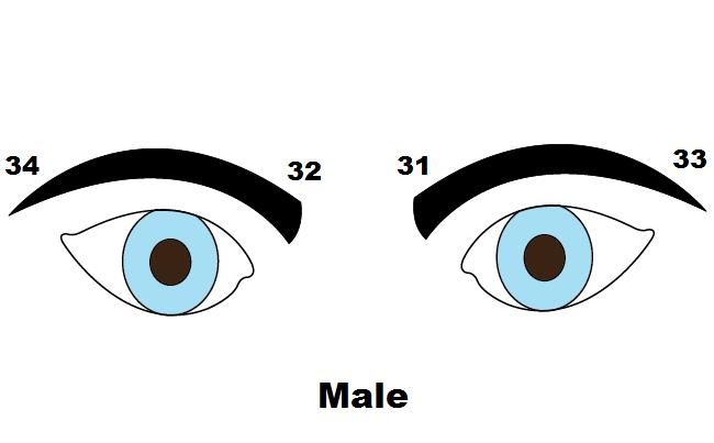 eyebrow shape meaning